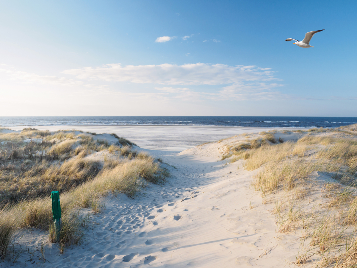 Uitvaart_Strand_Zandvoort_1.jpg